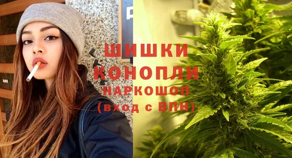 ПСИЛОЦИБИНОВЫЕ ГРИБЫ Балахна