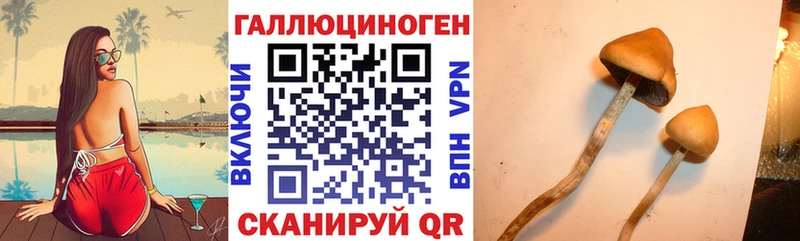 купить наркоту  Пересвет  KRAKEN как зайти  Псилоцибиновые грибы Cubensis 